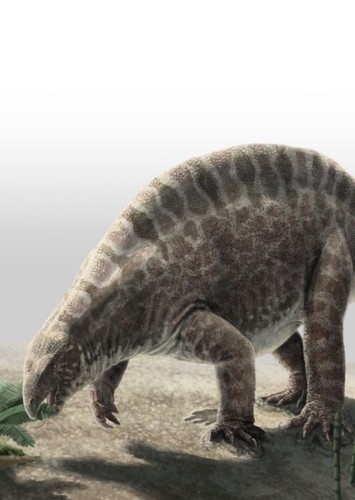 Lotosaurus