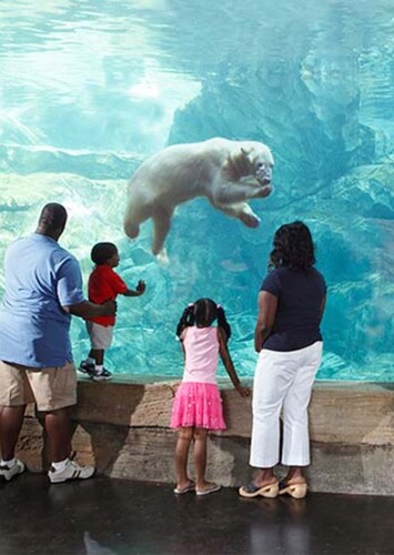 Louisville Zoo