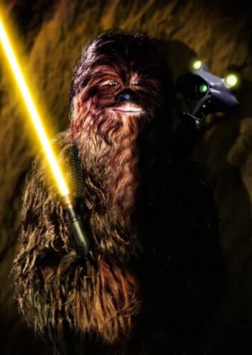 Lowbacca