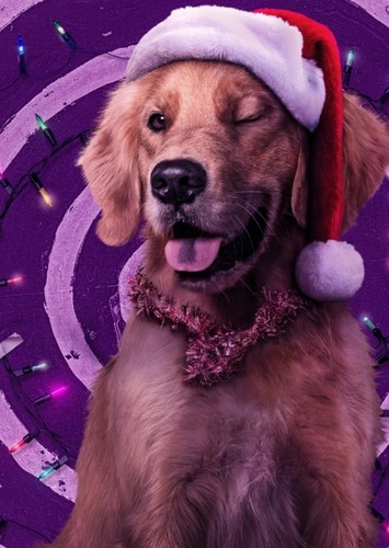Lucky the Pizza Dog
