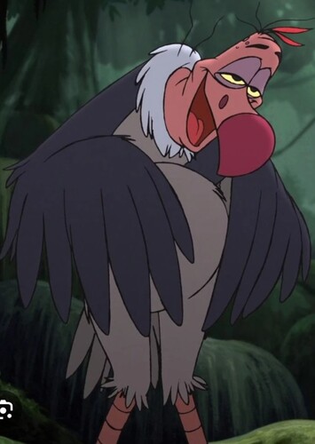 Lucky The Vulture