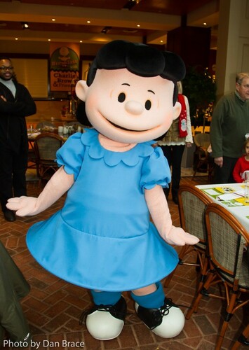 Lucy Van Pelt