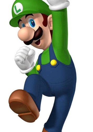 Luigi Bros