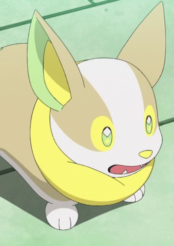 Luigi's Yamper
