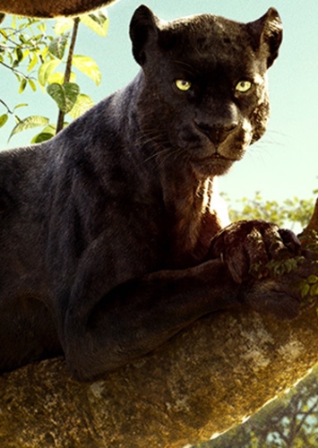 Luke the Panther