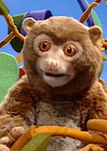 Lulu the Potto