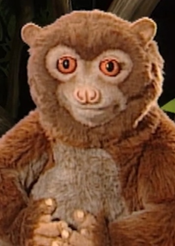 Lulu the potto