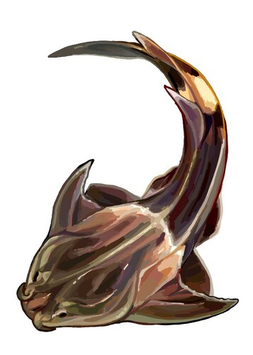 Lunaspis