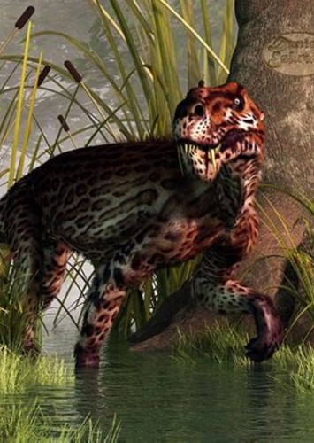Lycaenops