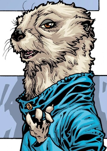 Lylla Otter