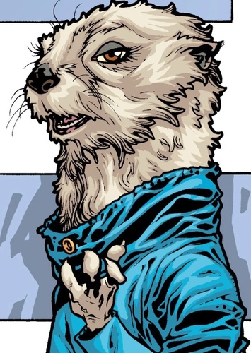 Lylla Otter