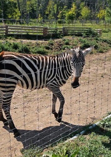 Lynnwood Park Zoo