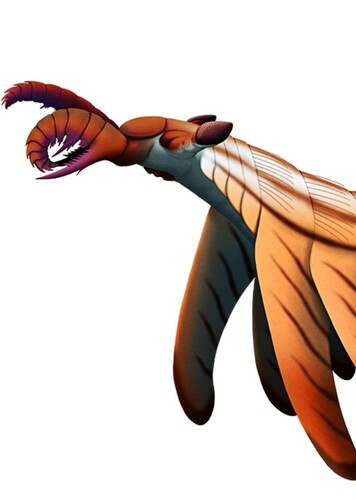 Lyrarapax