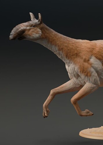 Macrauchenia