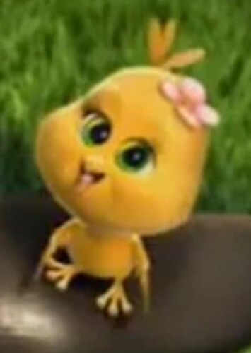 Maddy The Chick