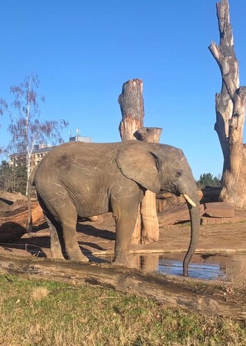 Magdeburg Zoo