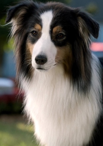 Maggie