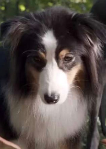 Maggie