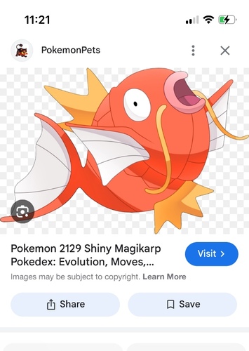Magikarp