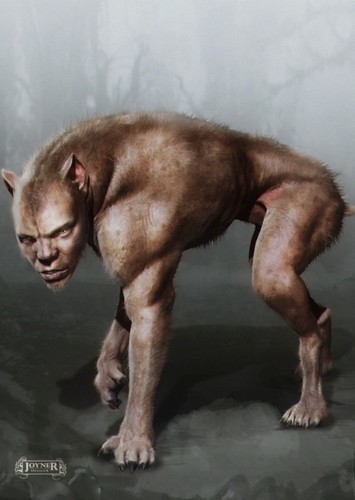 Main Hybrid Dog