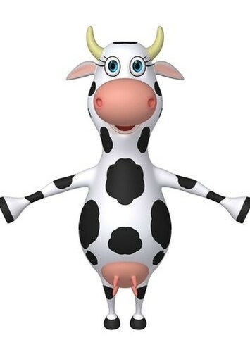 Male Cow