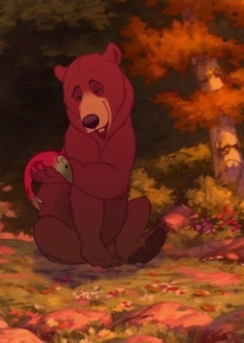 Male lover bear