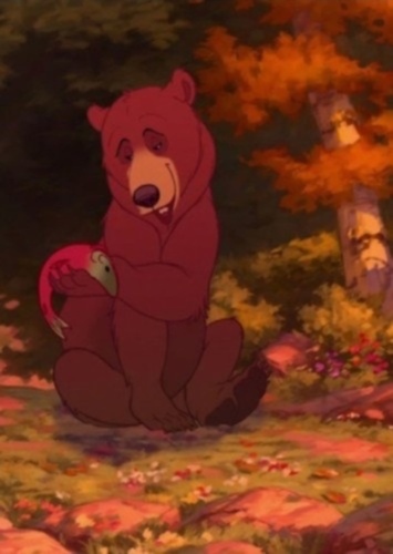 Male lover Bear