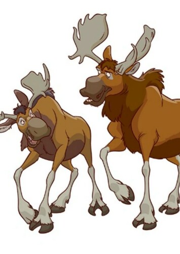 Male Moose