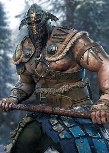 Raider