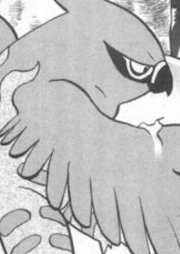 Malva's Talonflame (English Dub)