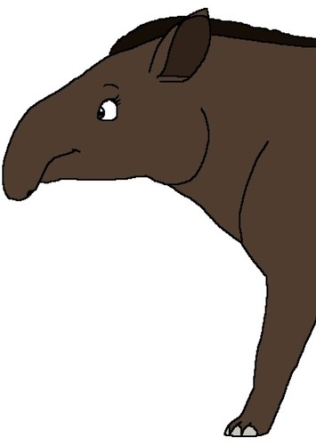 Mama Tapir