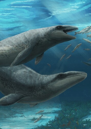 Mammalodon