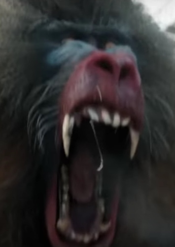 Mandrill