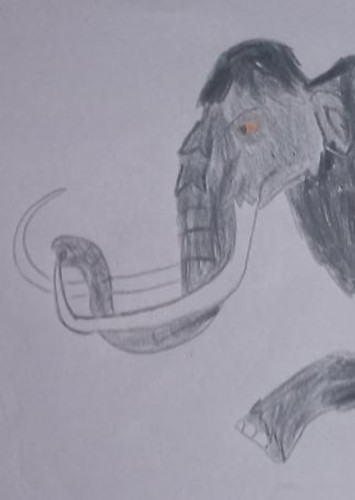 Manokil