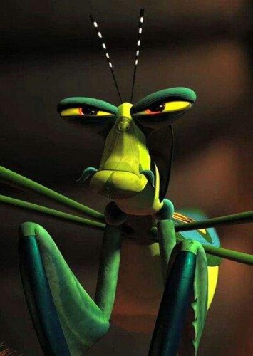 Mantis