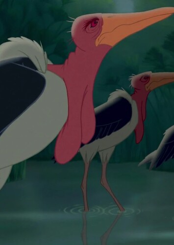 Marabou Storks