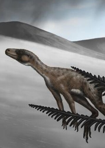 Marasuchus