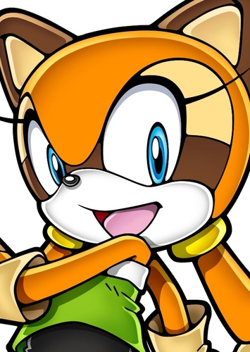 Marine the Raccoon