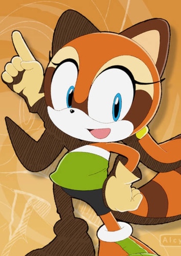 Marine the Raccoon