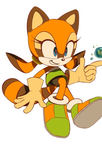 Marine the Raccoon