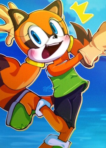 Marine the Raccoon