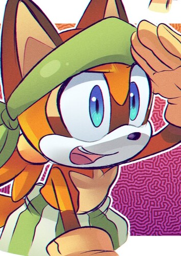 Marine the Raccoon