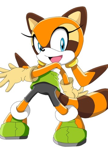 Marine the Raccoon