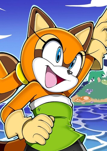 Marine the Raccoon