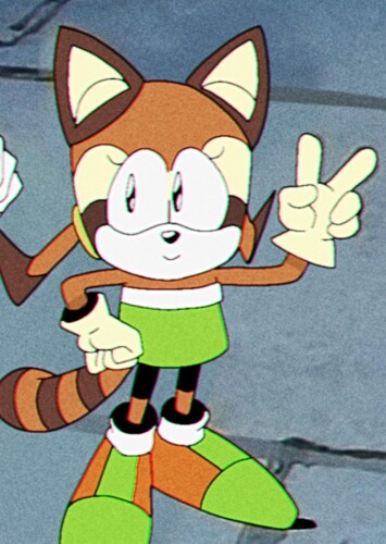 Marine the Raccoon