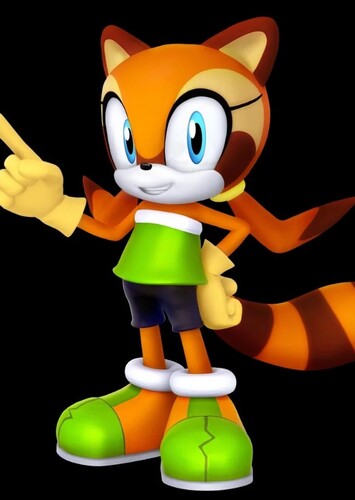 Marine the Raccoon