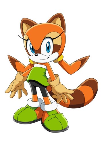 Marine The Raccoon