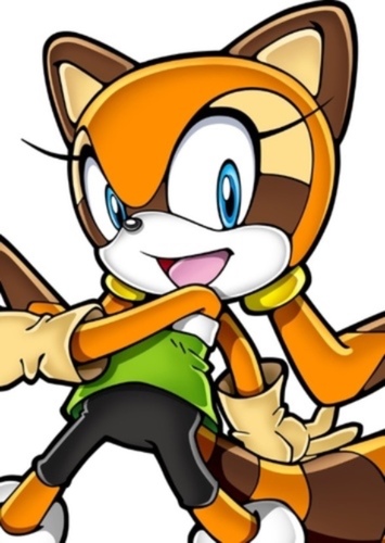 Marine the Raccoon