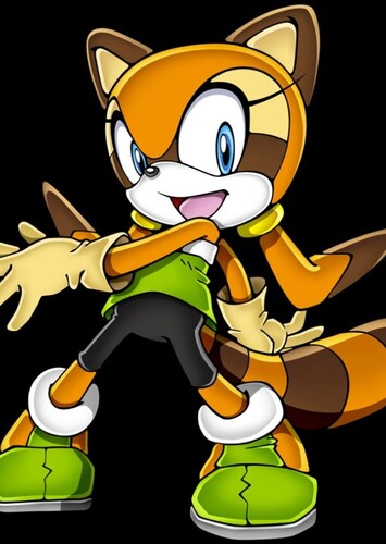 Marine the Raccoon