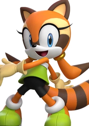 Marine the Raccoon